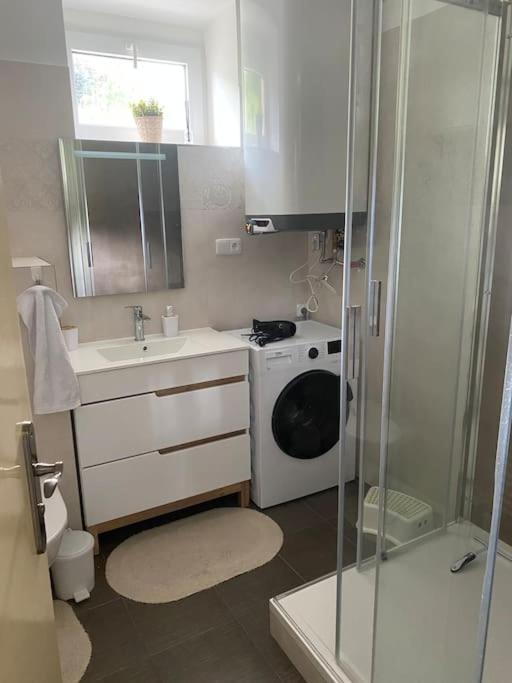 Horsky Apartman Desna - Jizerky Dış mekan fotoğraf